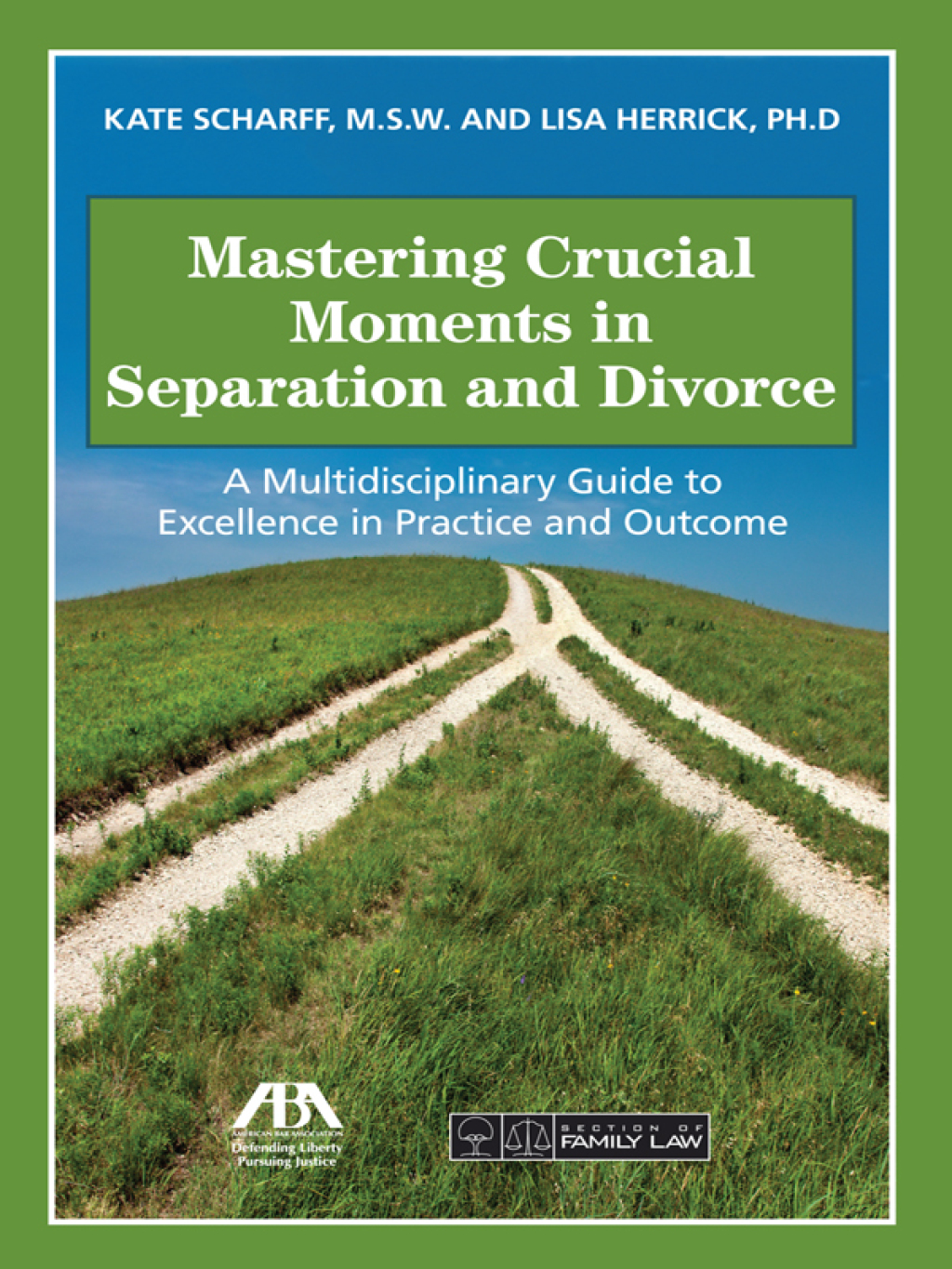 Mastering Crucial Moments in Separation and Divorce A Multidisciplinary Guide to Excellence in Practice and Outcome  â€“ PDF/EPUB Version Downloadable