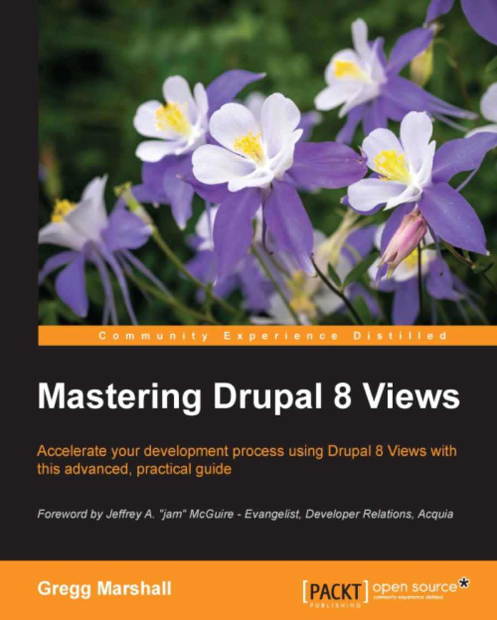 Mastering Drupal 8 Views 1st Edition â€“ PDF/EPUB Version Downloadable