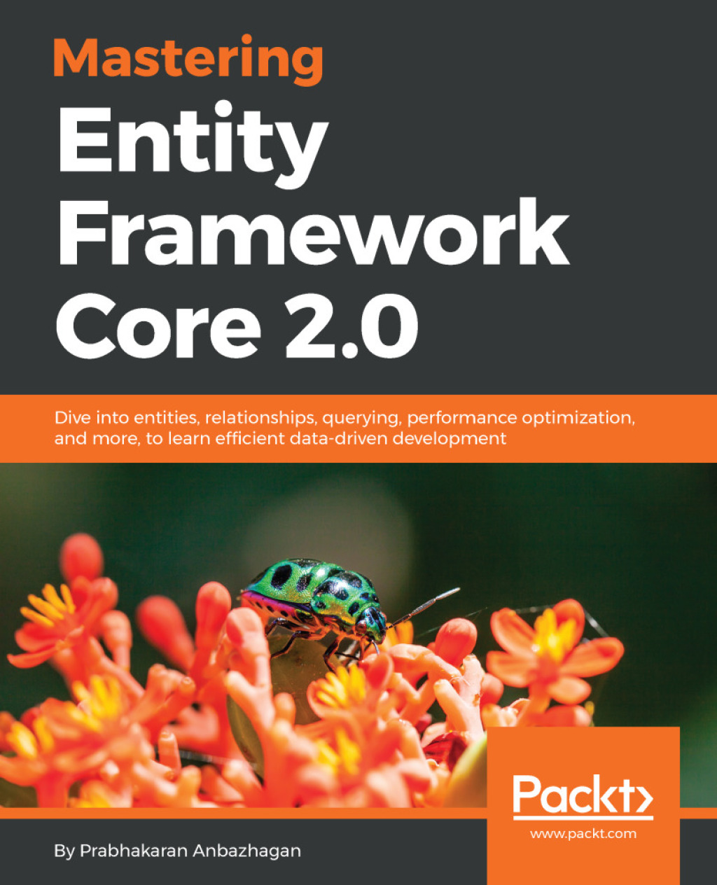 Mastering Entity Framework Core 2.0 Dive into entities, relationships, querying, performance optimization, and more, to learn efficient data-driven development 1st Edition â€“ PDF/EPUB Version Downloadable