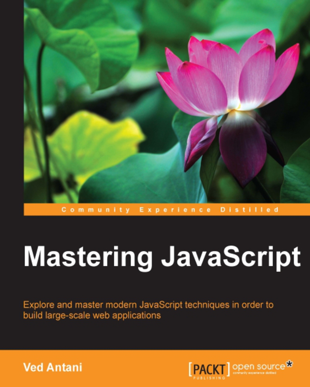 Mastering JavaScript 1st Edition â€“ PDF/EPUB Version Downloadable
