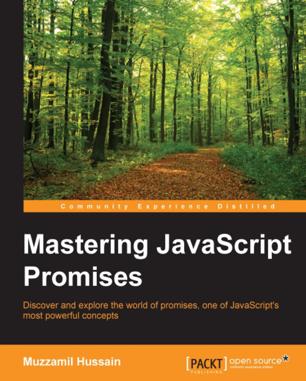 Mastering JavaScript Promises 1st Edition â€“ PDF/EPUB Version Downloadable