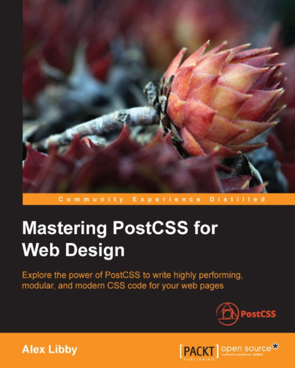 Mastering PostCSS for Web Design 1st Edition â€“ PDF/EPUB Version Downloadable