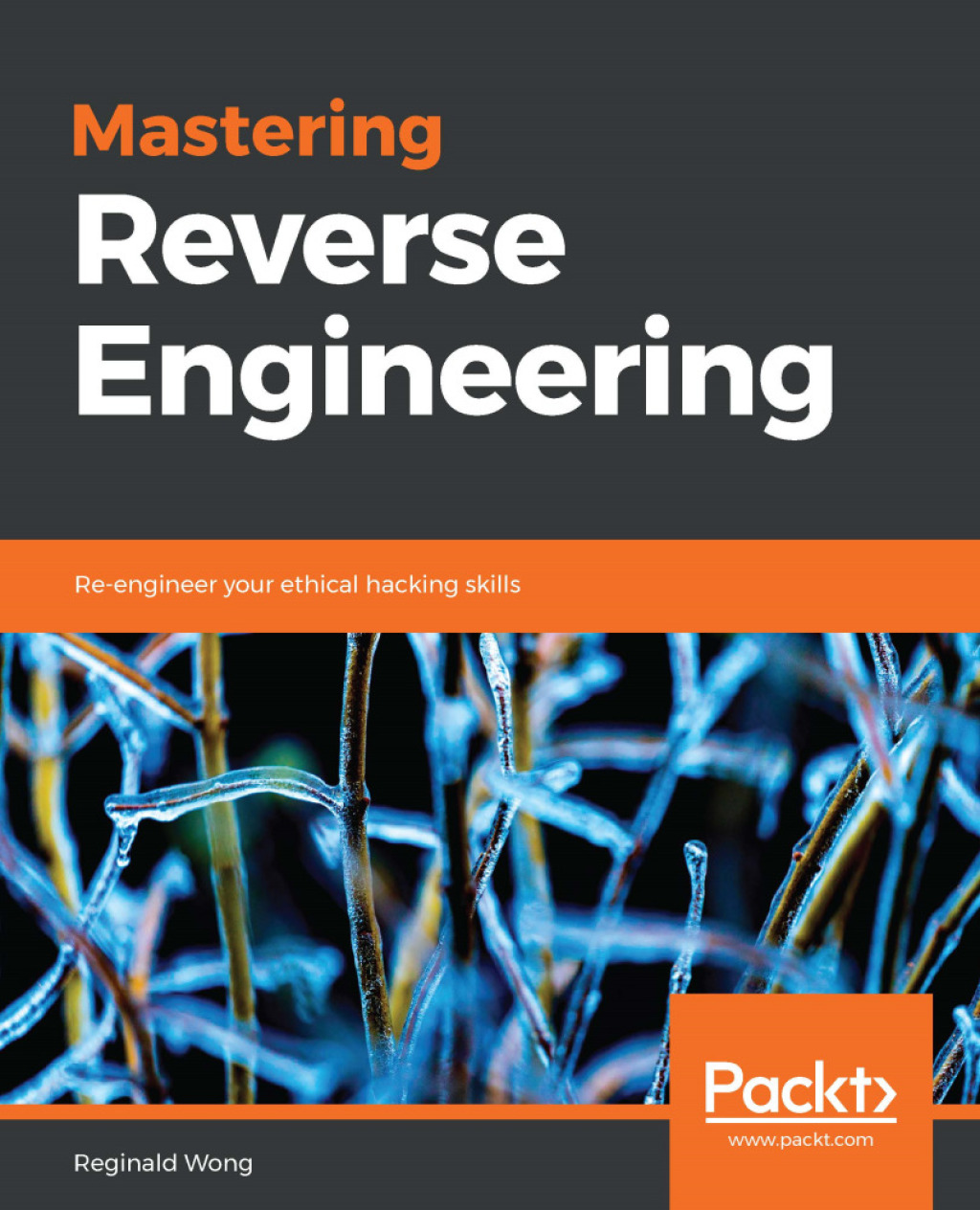 Mastering Reverse Engineering Re-engineer your ethical hacking skills 1st Edition â€“ PDF/EPUB Version Downloadable