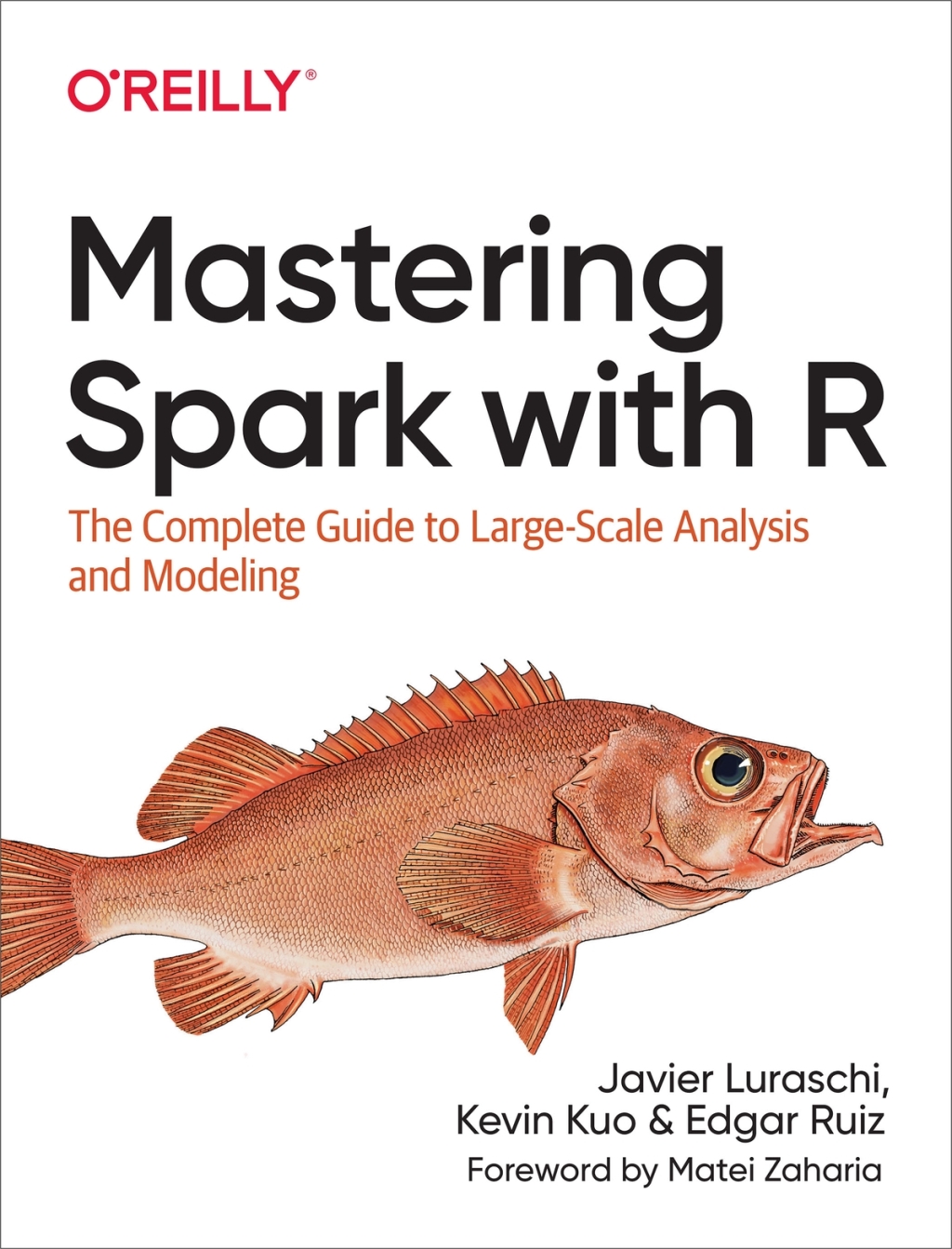Mastering Spark with R The Complete Guide to Large-Scale Analysis and Modeling 1st Edition â€“ PDF/EPUB Version Downloadable