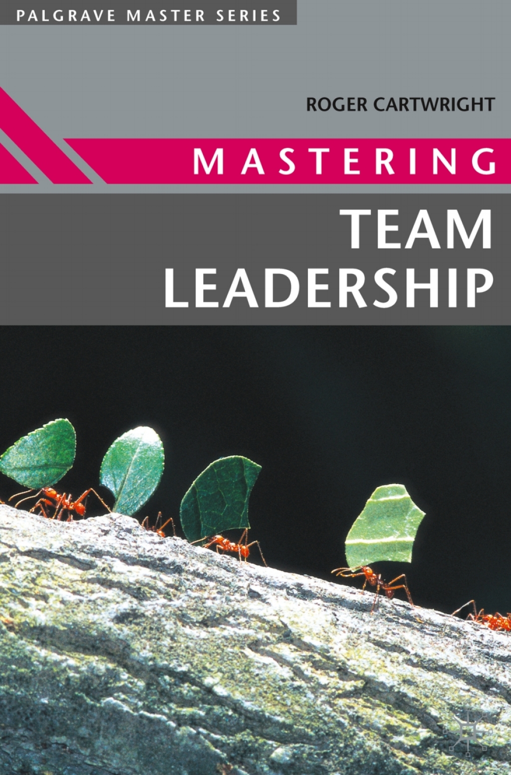 Mastering Team Leadership 1st Edition â€“ PDF/EPUB Version Downloadable