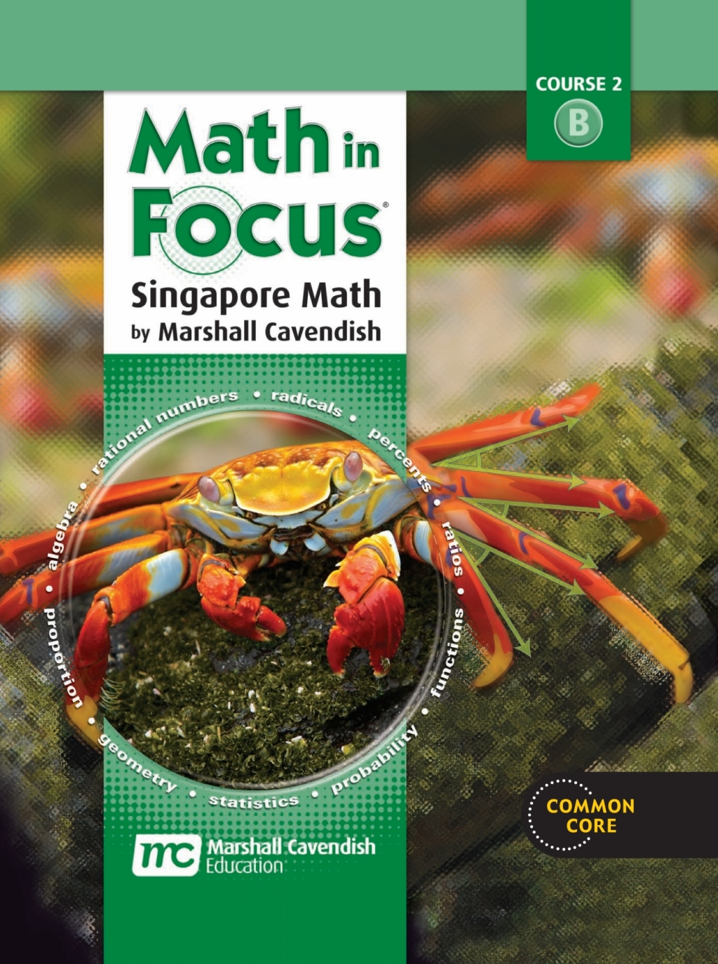 Math in Focus: Singapore Math Grade 7 Volume B  â€“ PDF/EPUB Version Downloadable