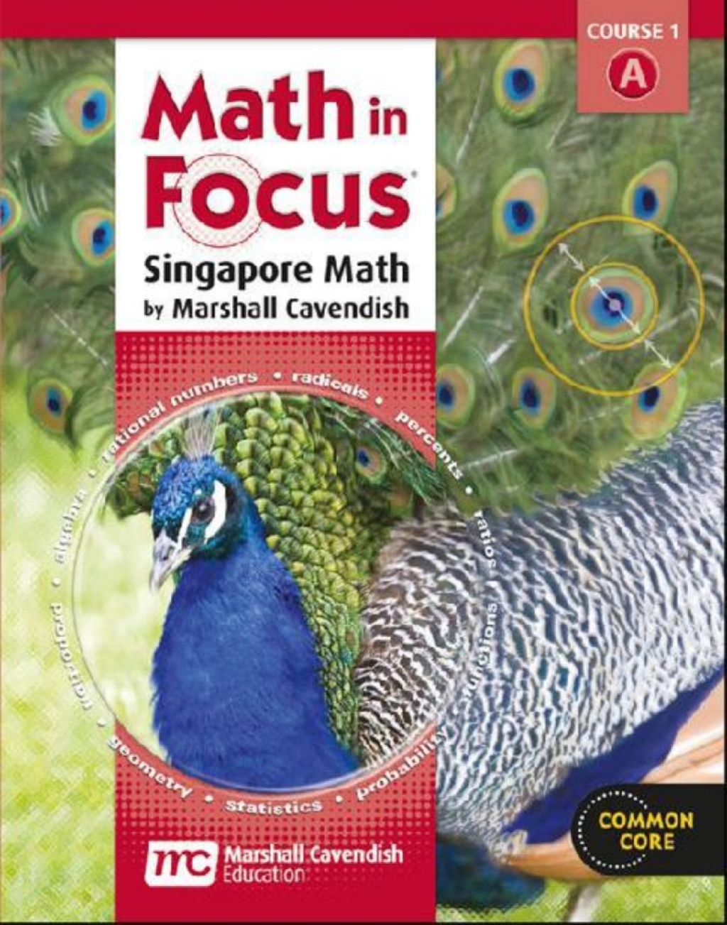 Math in Focus: Singapore Math Student Edition Digital Content Volume A Grade 6 2012  â€“ PDF/EPUB Version Downloadable