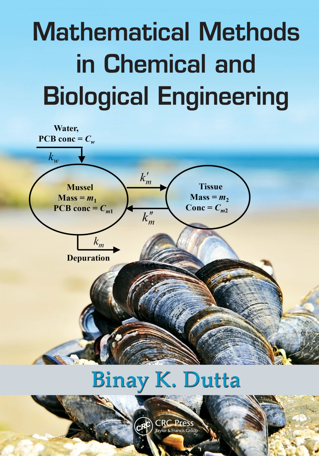 Mathematical Methods in Chemical and Biological Engineering 1st Edition â€“ PDF/EPUB Version Downloadable