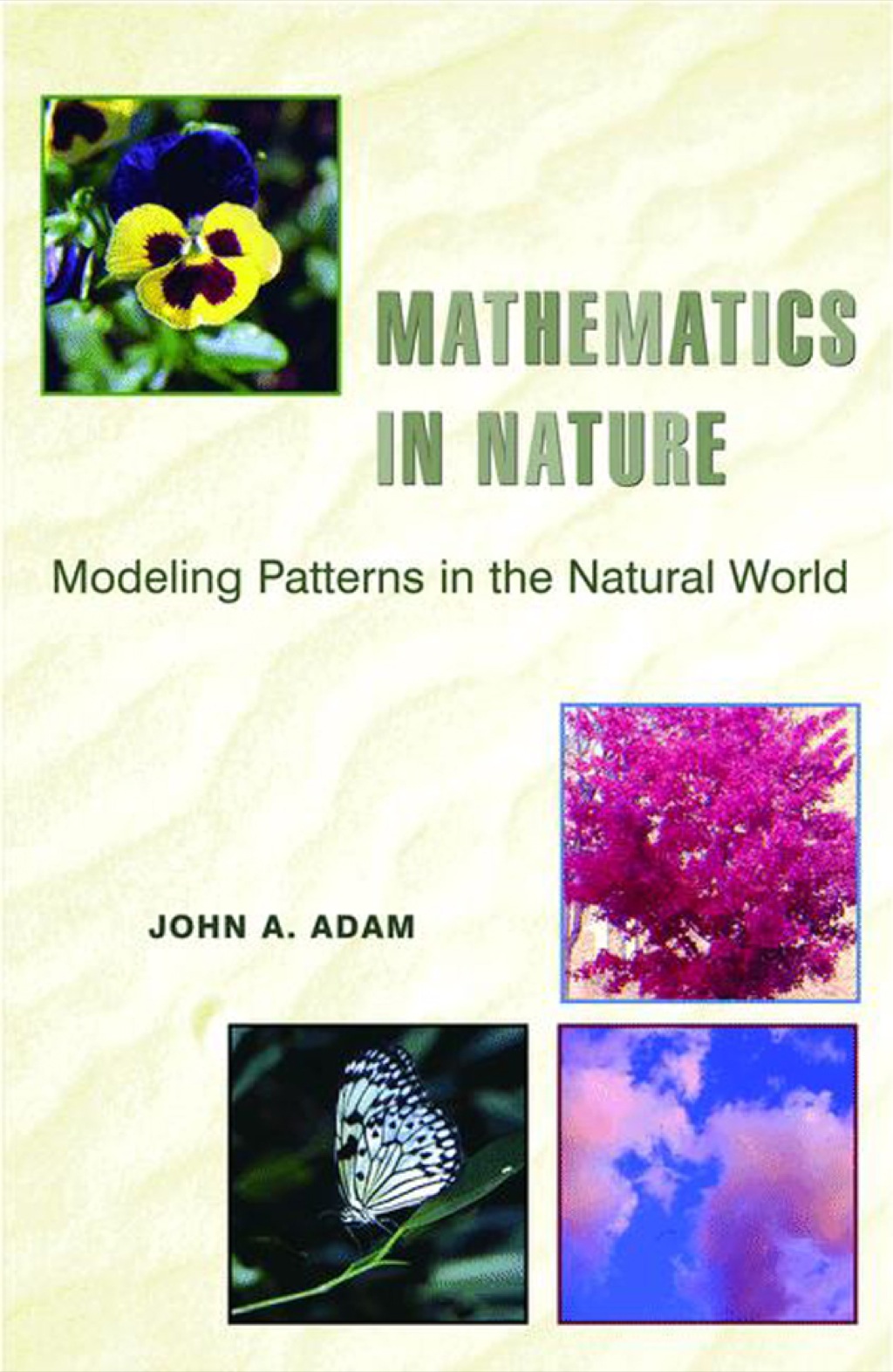 Mathematics in Nature Modeling Patterns in the Natural World  â€“ PDF/EPUB Version Downloadable