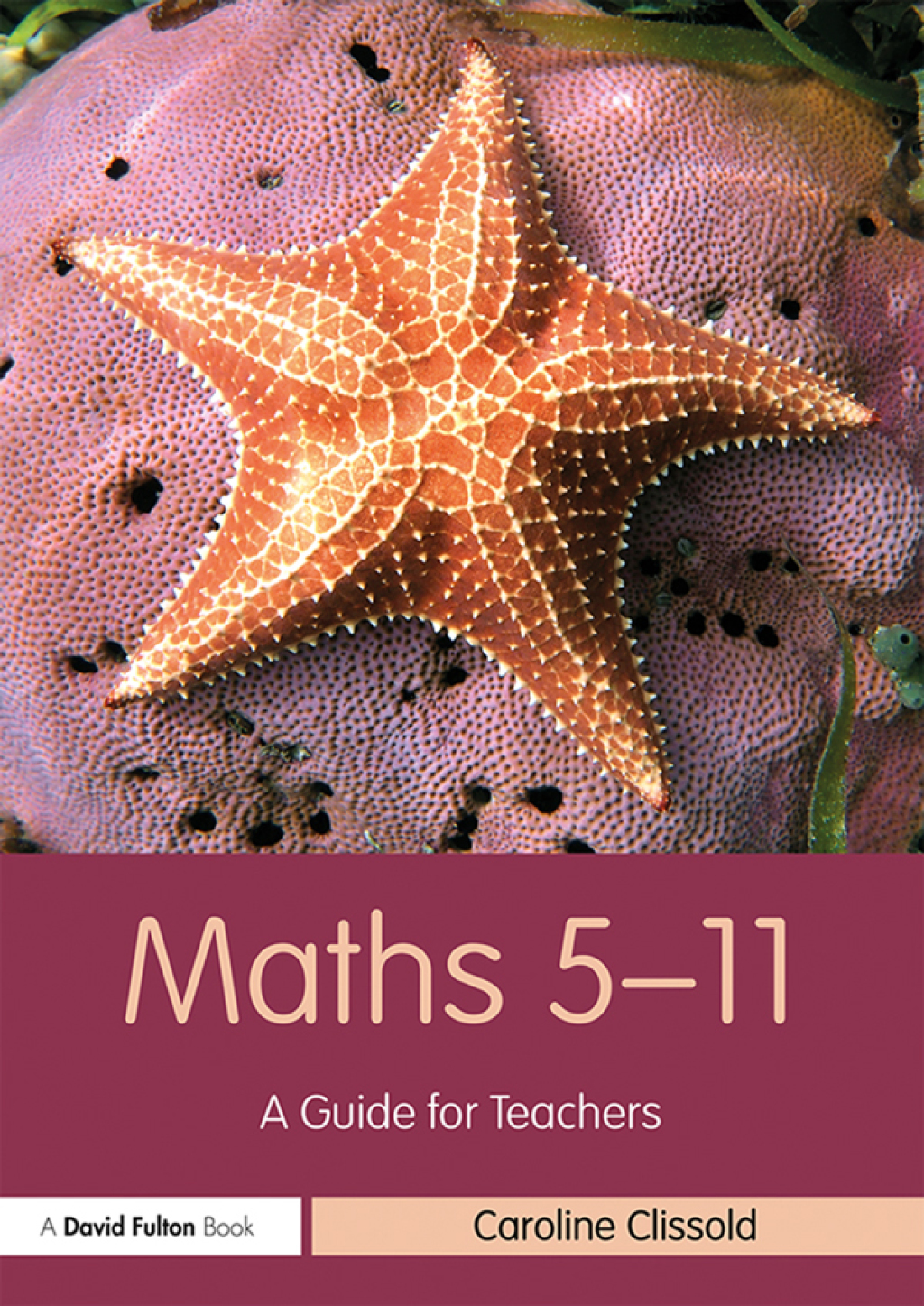 Maths 5â€“11 A Guide for Teachers 1st Edition â€“ PDF/EPUB Version Downloadable