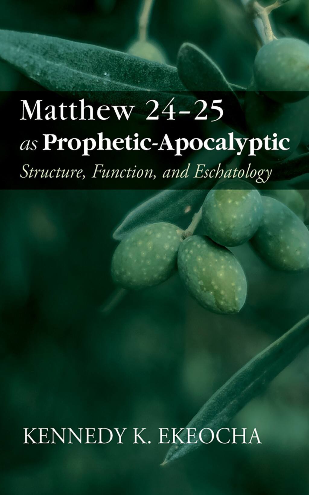 Matthew 24â€“25 as Prophetic-Apocalyptic Structure, Function, and Eschatology  â€“ PDF/EPUB Version Downloadable