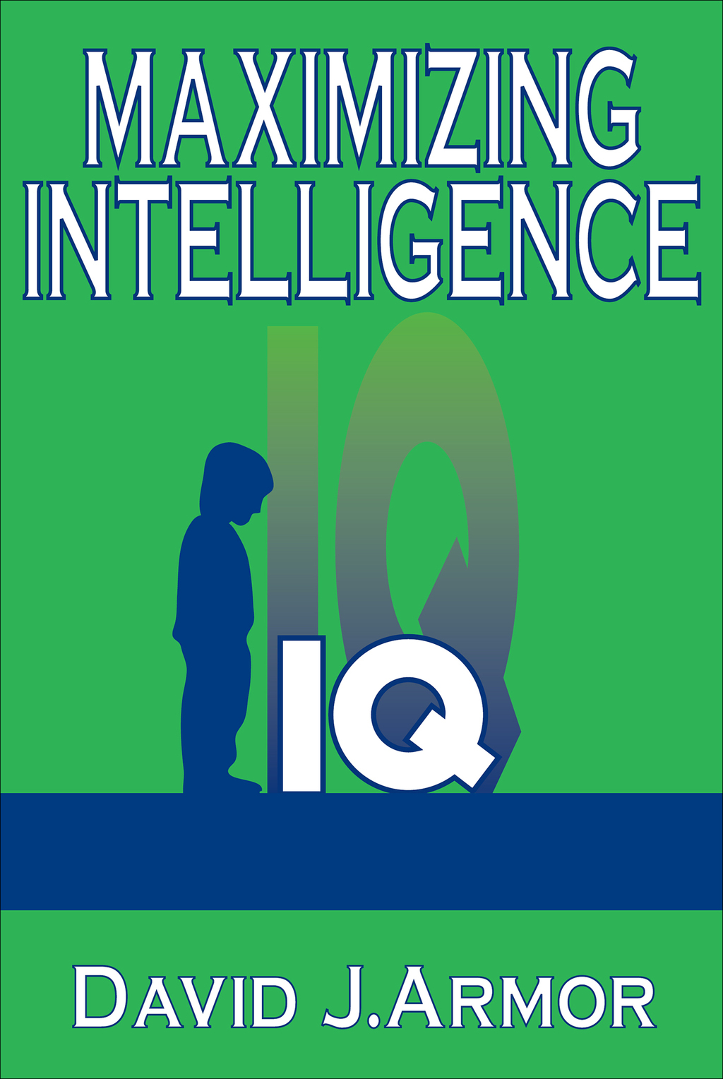Maximizing Intelligence 1st Edition â€“ PDF/EPUB Version Downloadable