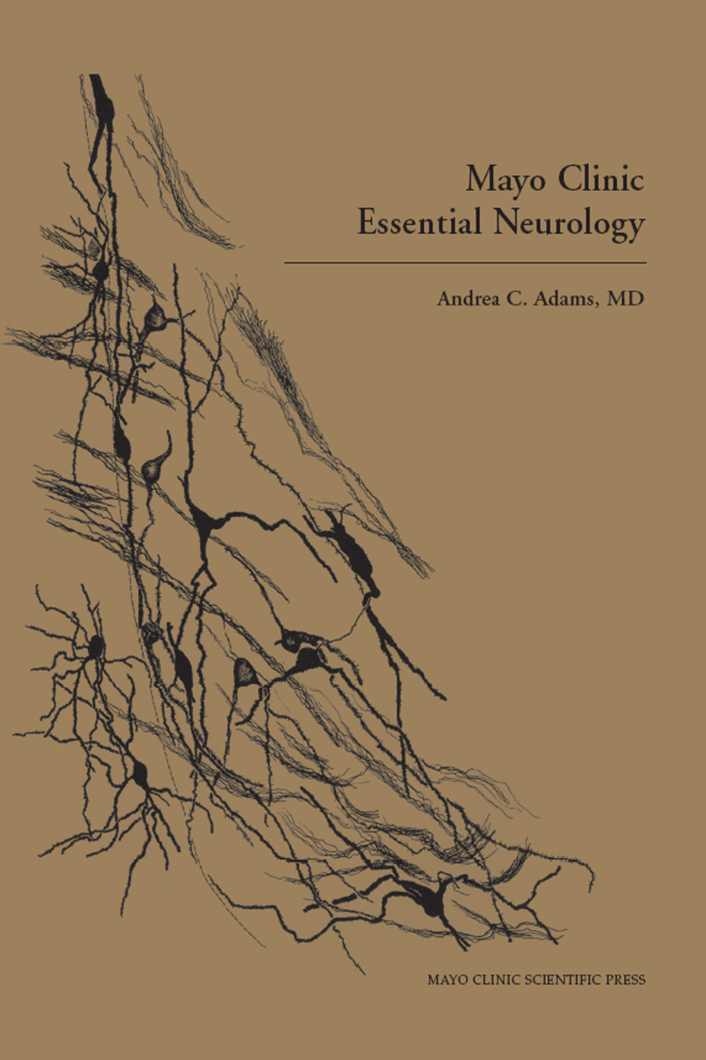 Mayo Clinic Essential Neurology 1st Edition â€“ PDF/EPUB Version Downloadable