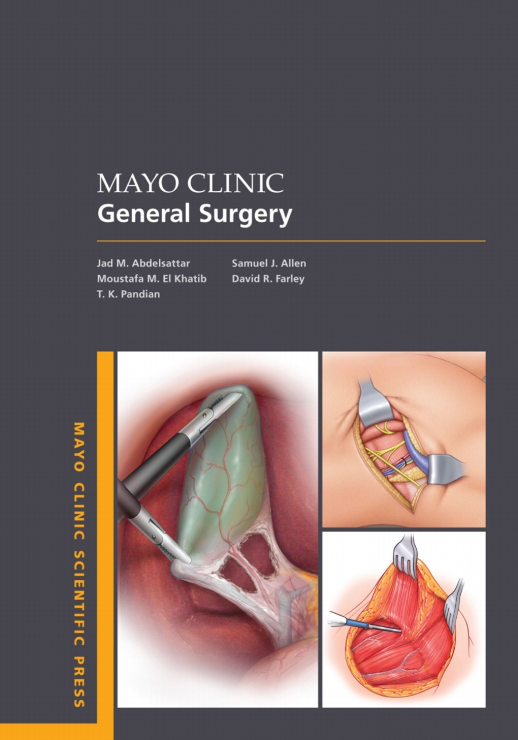 Mayo Clinic General Surgery 1st Edition â€“ PDF/EPUB Version Downloadable