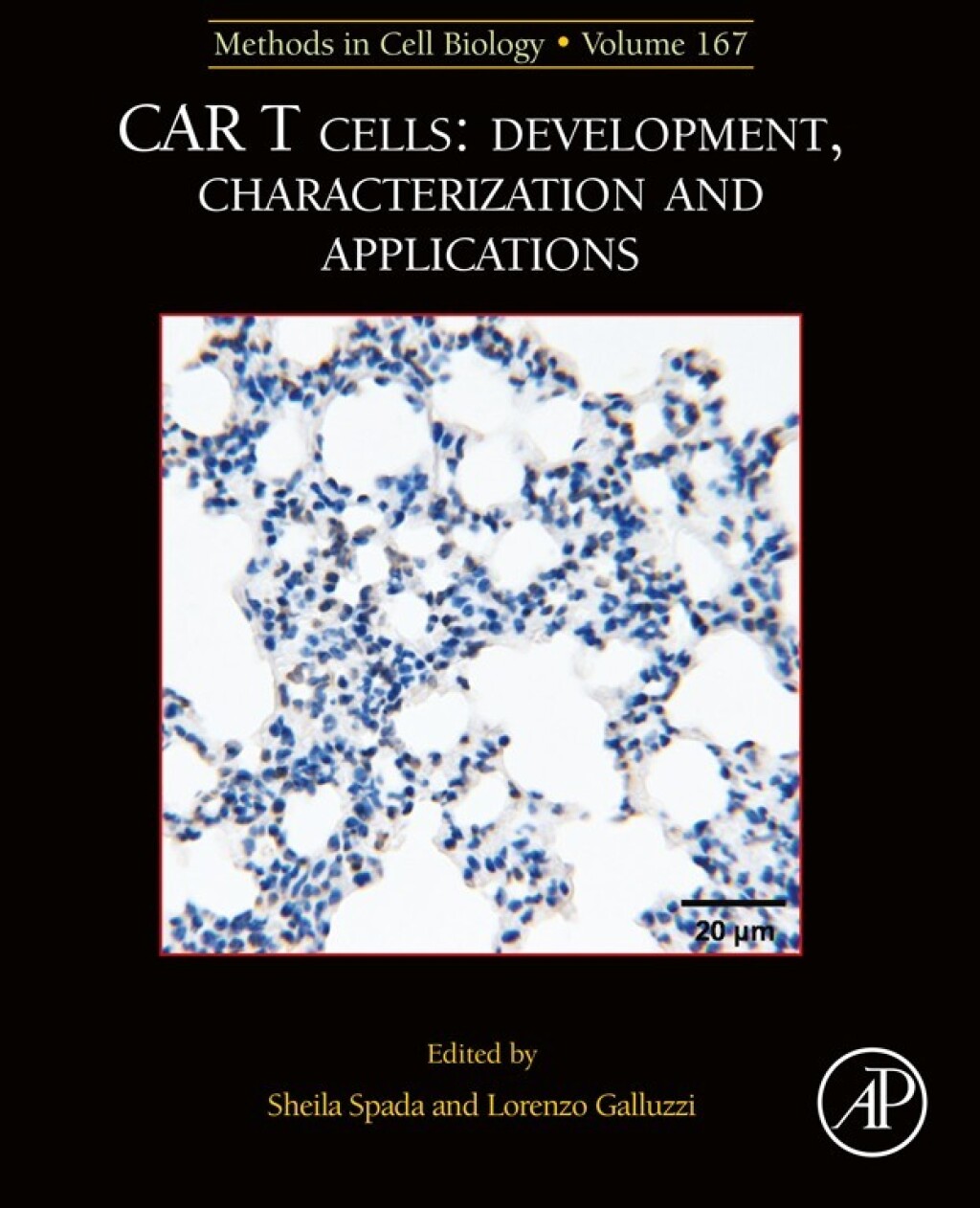 MCB: CAR T Cells: Development, Characterization and Applications  â€“ PDF/EPUB Version Downloadable
