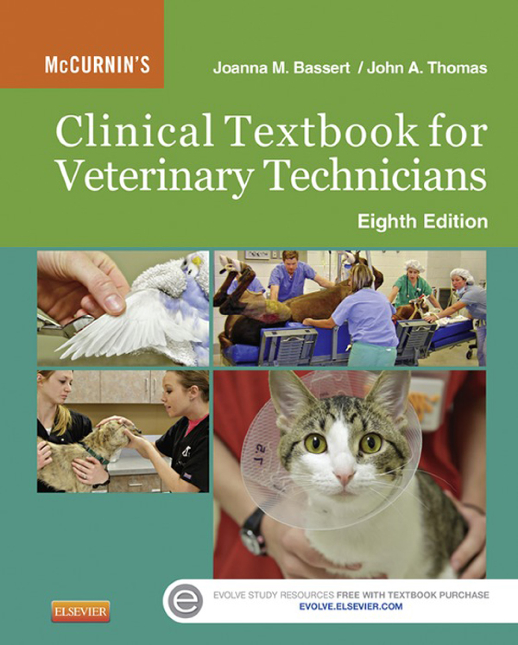 McCurnin's Clinical Textbook for Veterinary Technicians 8th Edition – PDF/EPUB Version Downloadable McCurnin's Clinical Textbook for Veterinary Technicians 8th Edition – PDF/EPUB Version Downloadable - Image 1