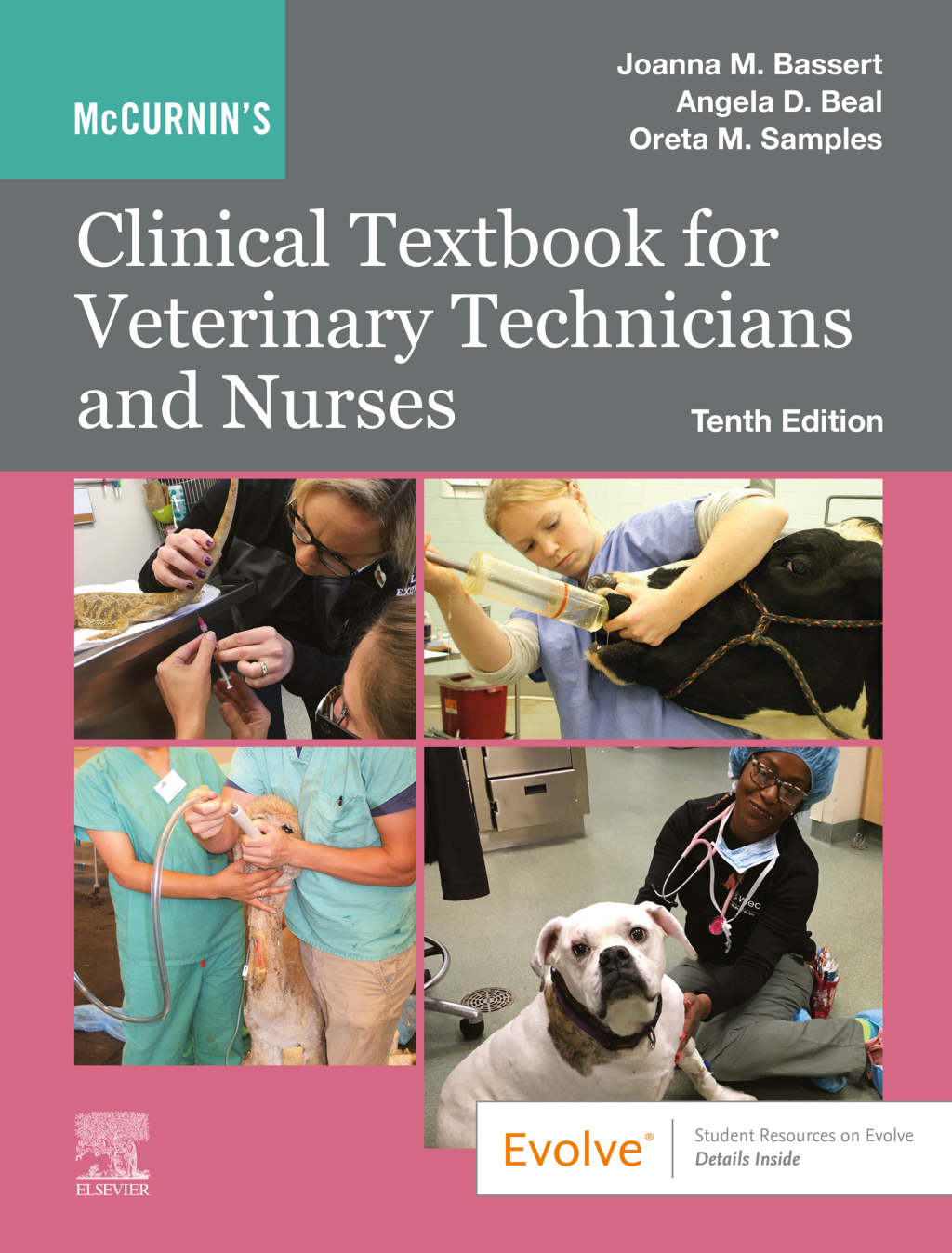 McCurnin's Clinical Textbook for Veterinary Technicians and Nurses 10th Edition â€“ PDF/EPUB Version Downloadable