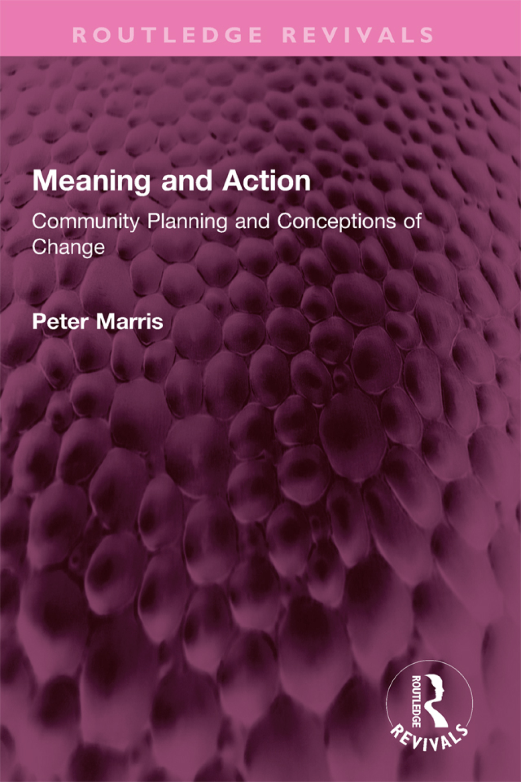 Meaning and Action Community Planning and Conceptions of Change 1st Edition â€“ PDF/EPUB Version Downloadable