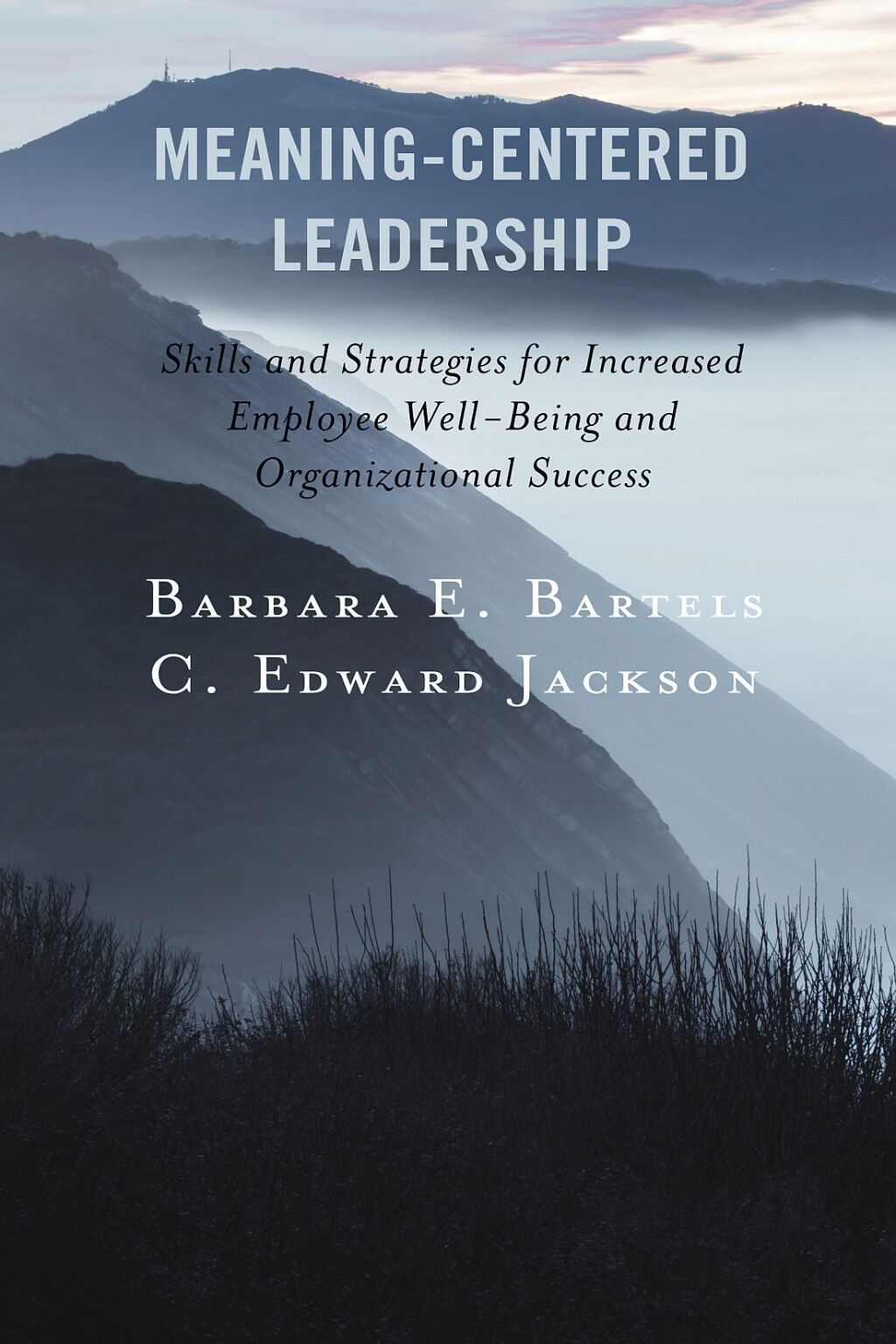 Meaning-Centered Leadership Skills and Strategies for Increased Employee Well-Being and Organizational Success - (PDF/EPUB Version)