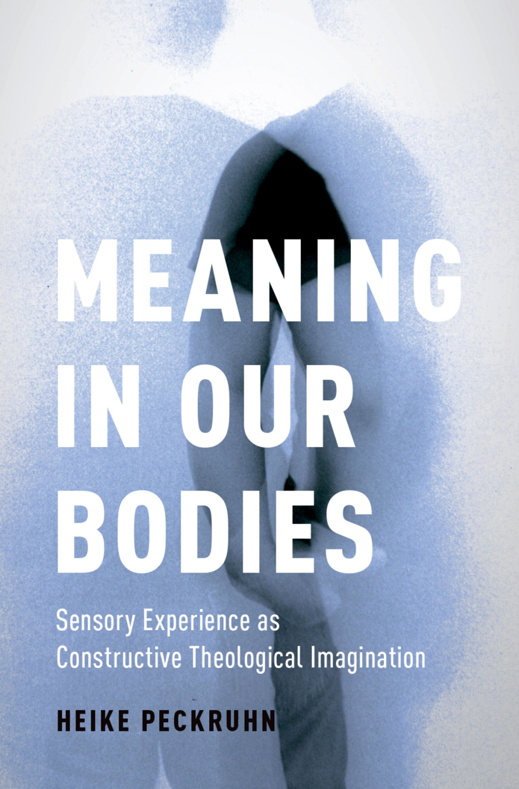 Meaning in Our Bodies Sensory Experience as Constructive Theological Imagination  â€“ PDF/EPUB Version Downloadable