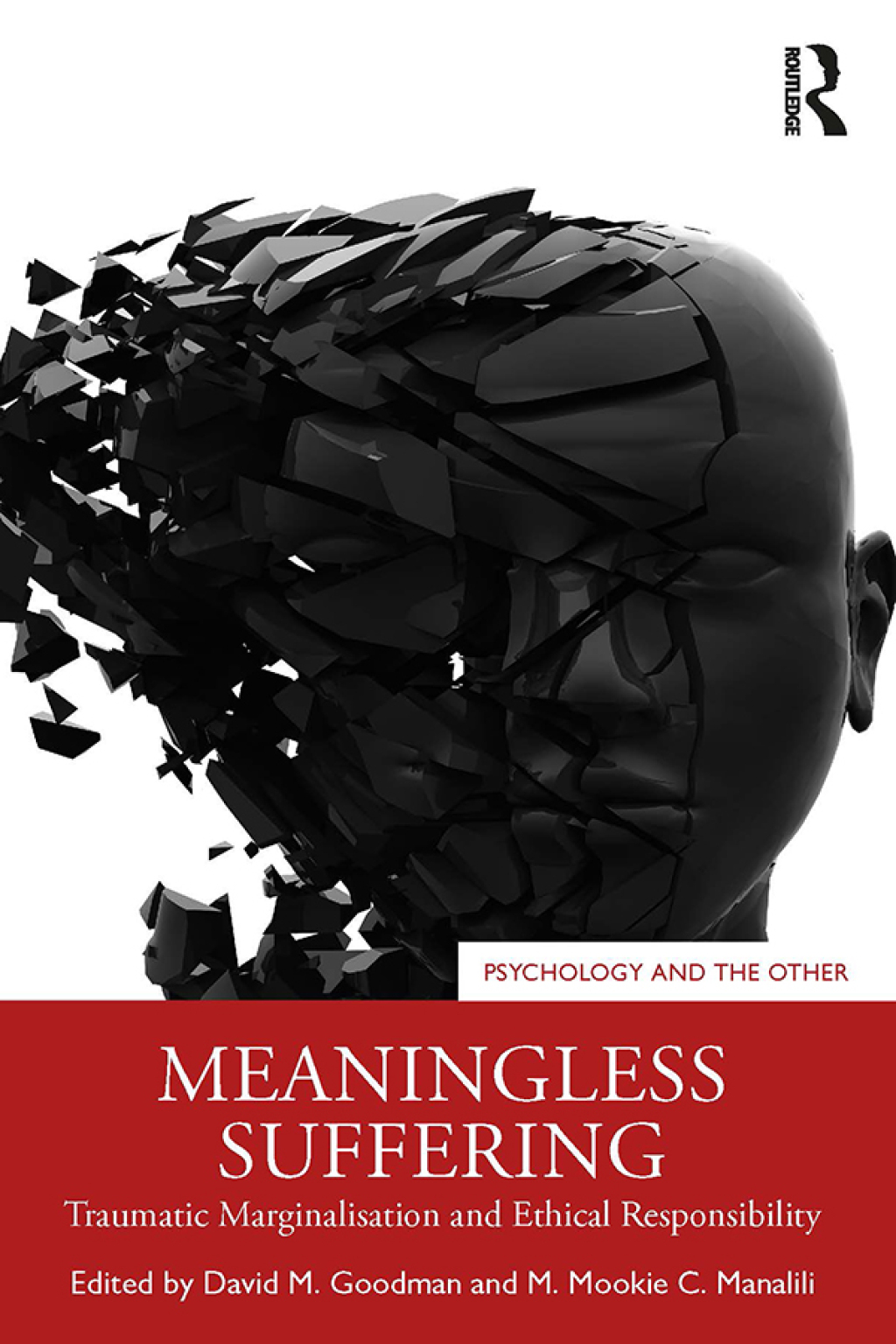 Meaningless Suffering Traumatic Marginalisation and Ethical Responsibility 1st Edition â€“ PDF/EPUB Version Downloadable