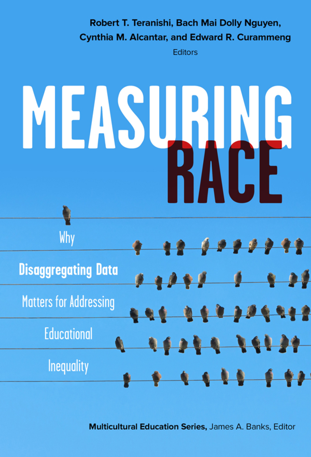 Measuring Race: Why Disaggregating Data Matters for Addressing Educational Inequality  â€“ PDF/EPUB Version Downloadable