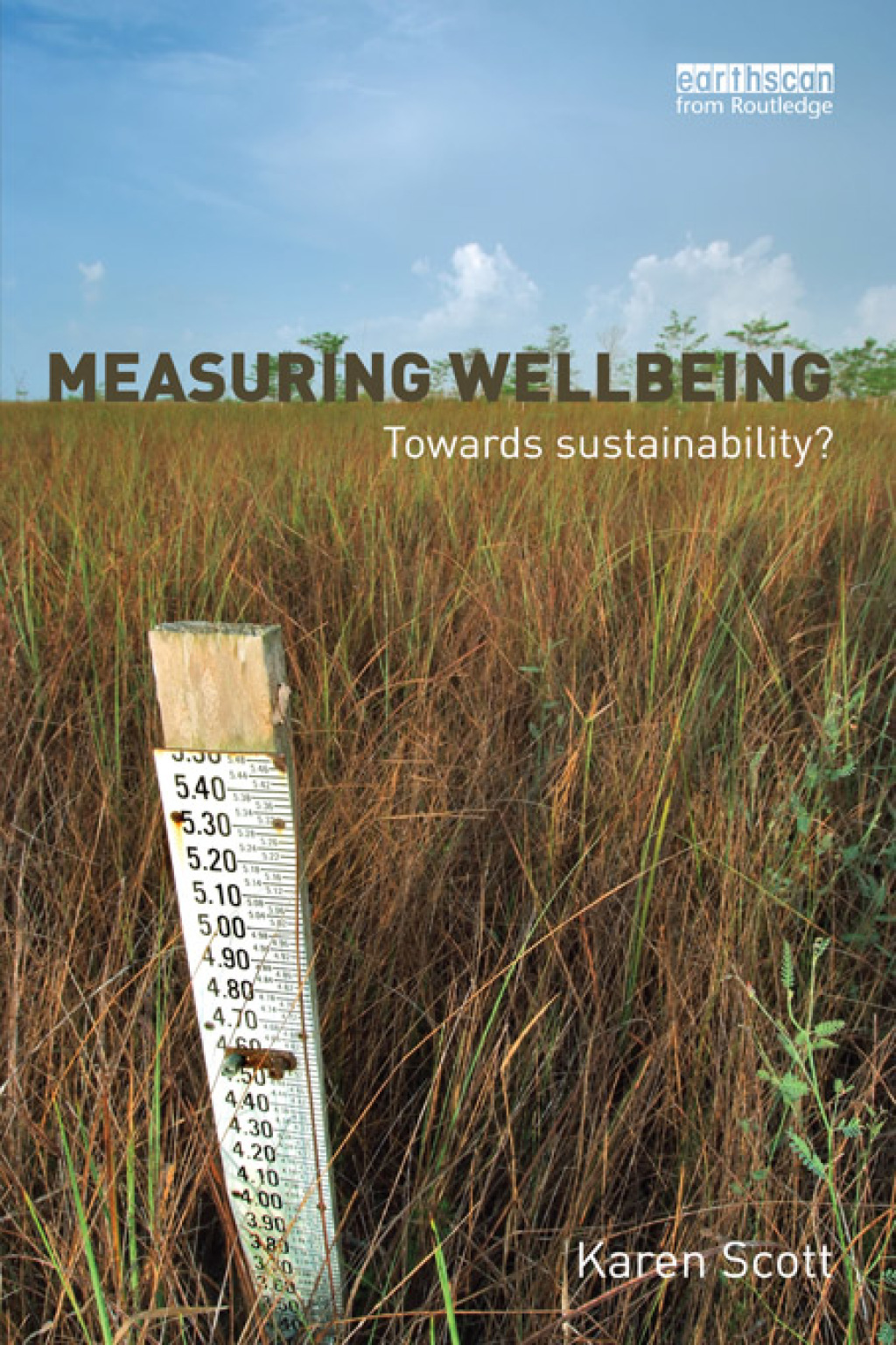 Measuring Wellbeing: Towards Sustainability? 1st Edition â€“ PDF/EPUB Version Downloadable