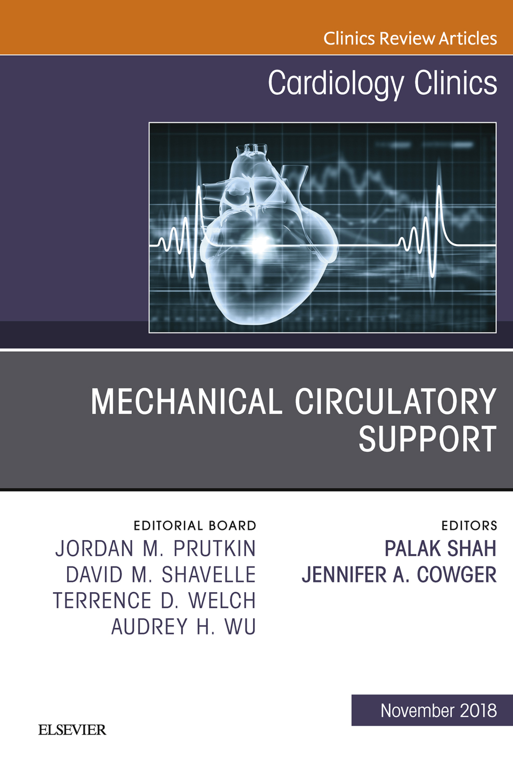 Mechanical Circulatory Support, An Issue of Cardiology Clinics  â€“ PDF/EPUB Version Downloadable