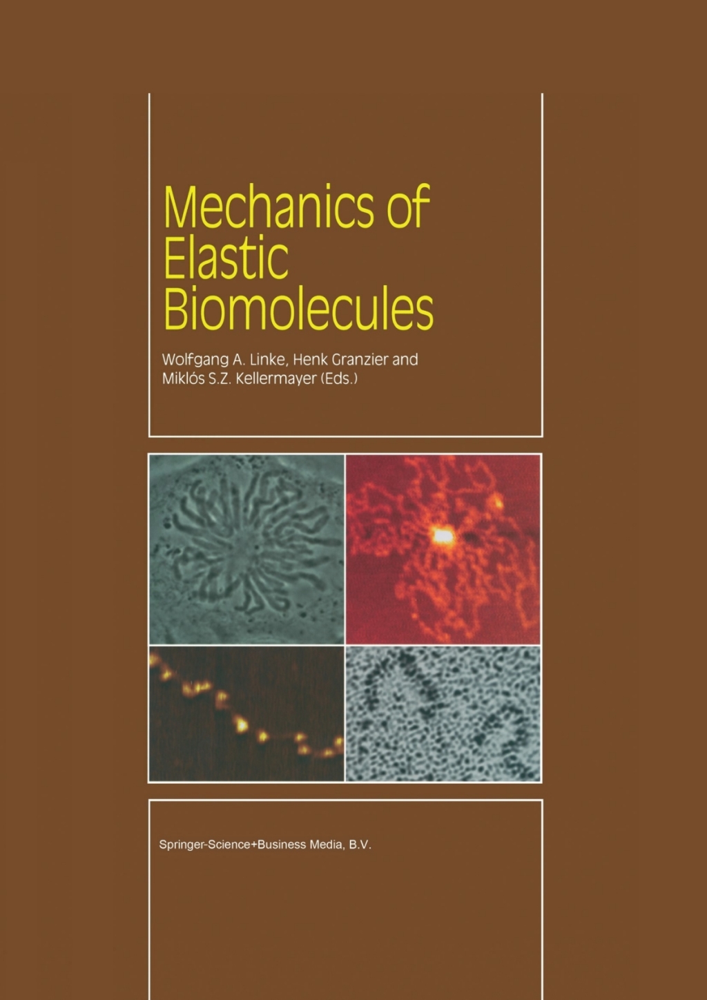 Mechanics of Elastic Biomolecules 1st Edition â€“ PDF/EPUB Version Downloadable
