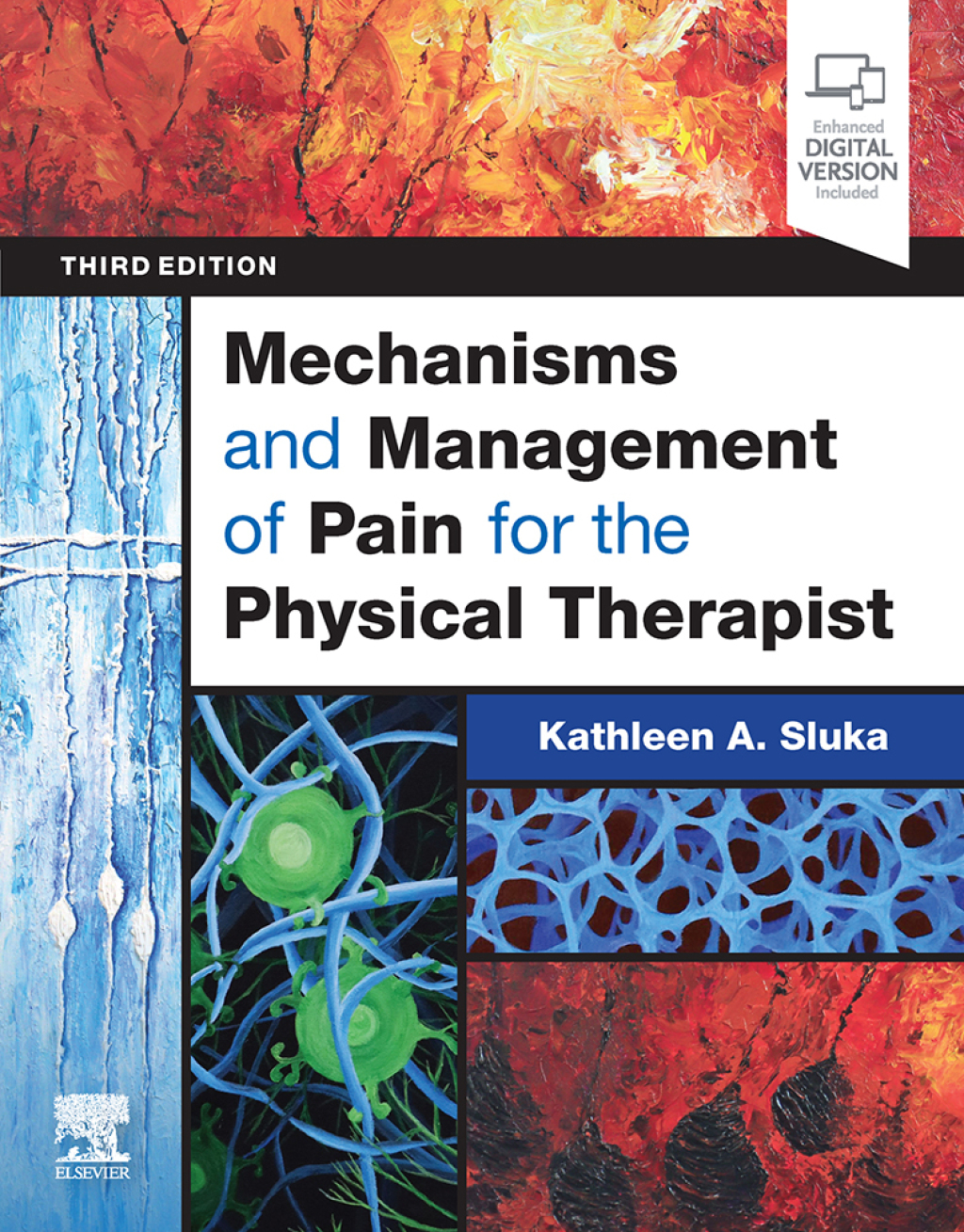 Mechanisms and Management of Pain for the Physical Therapist 3rd Edition â€“ PDF/EPUB Version Downloadable