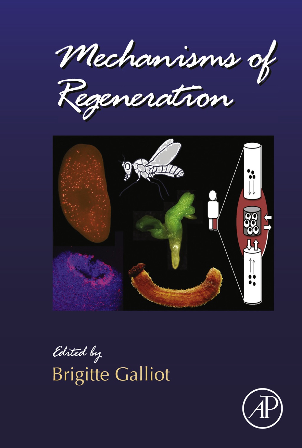 Mechanisms of Regeneration  â€“ PDF/EPUB Version Downloadable