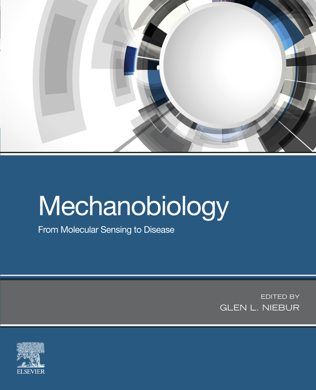 Mechanobiology From Molecular Sensing to Disease  â€“ PDF/EPUB Version Downloadable