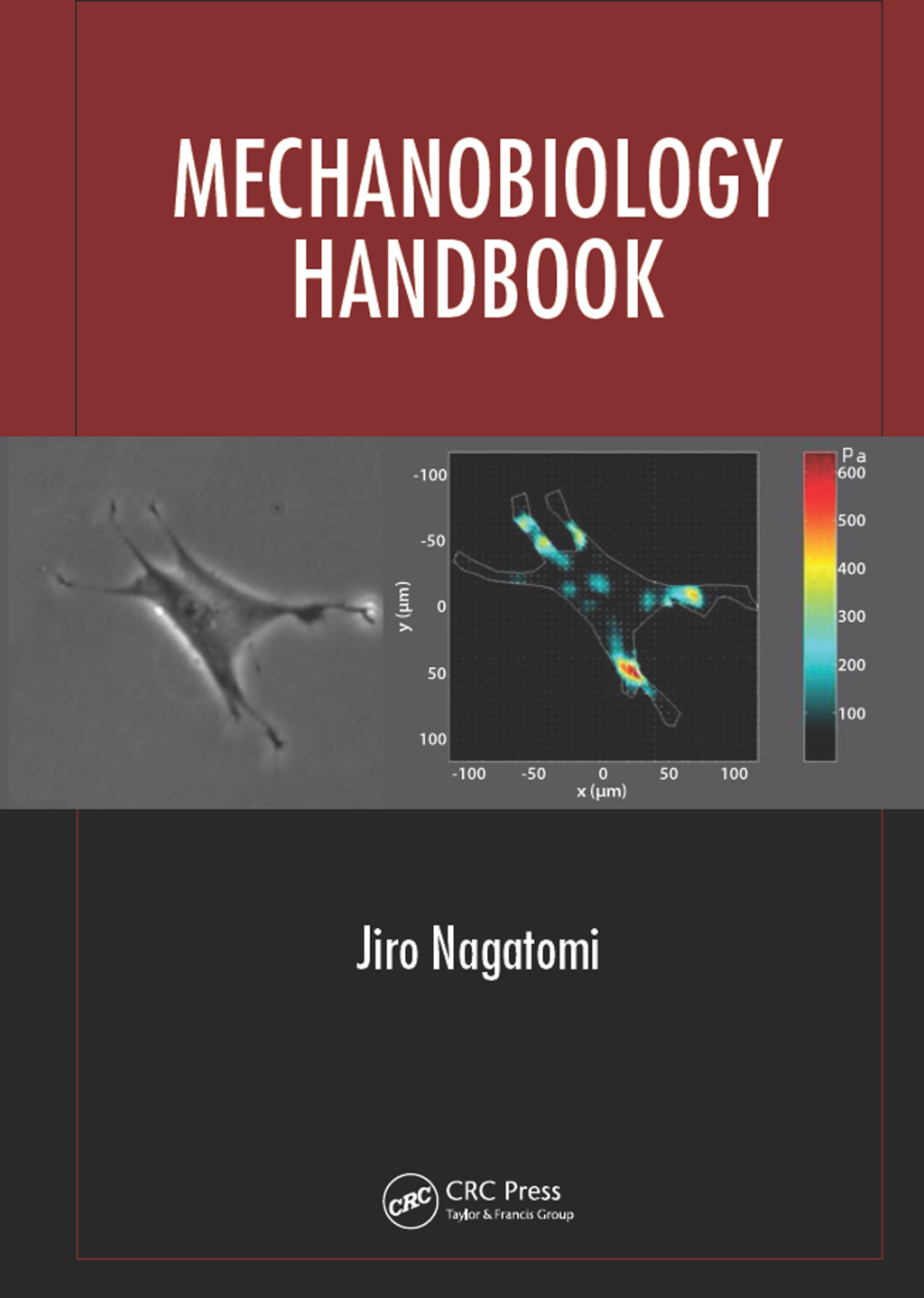 Mechanobiology Handbook 1st Edition â€“ PDF/EPUB Version Downloadable