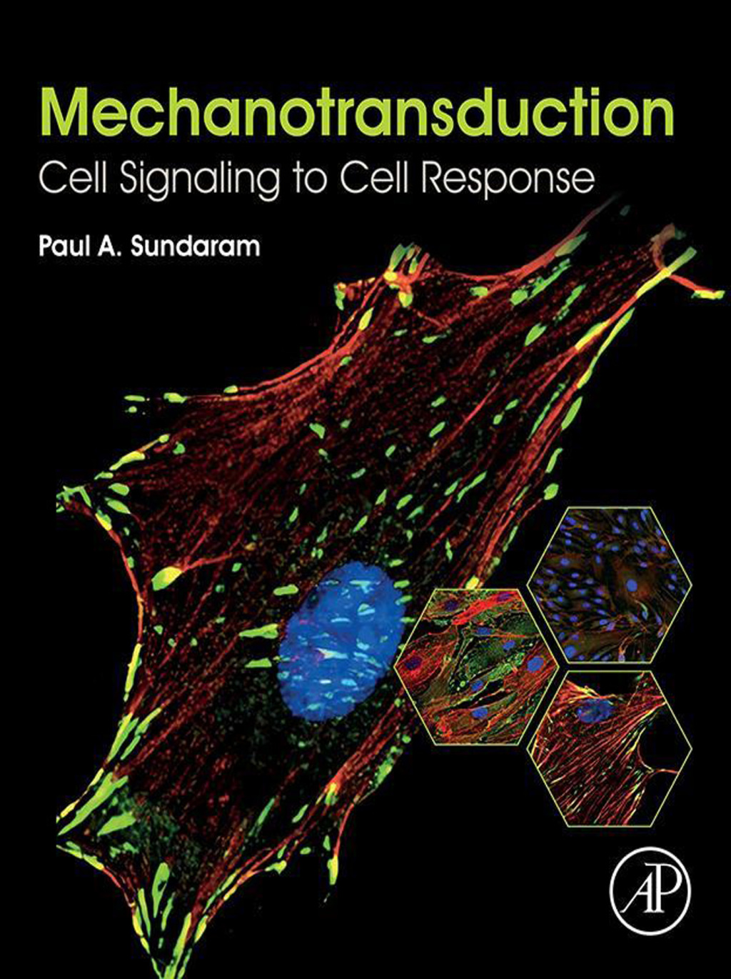 Mechanotransduction Cell Signaling to Cell Response  â€“ PDF/EPUB Version Downloadable