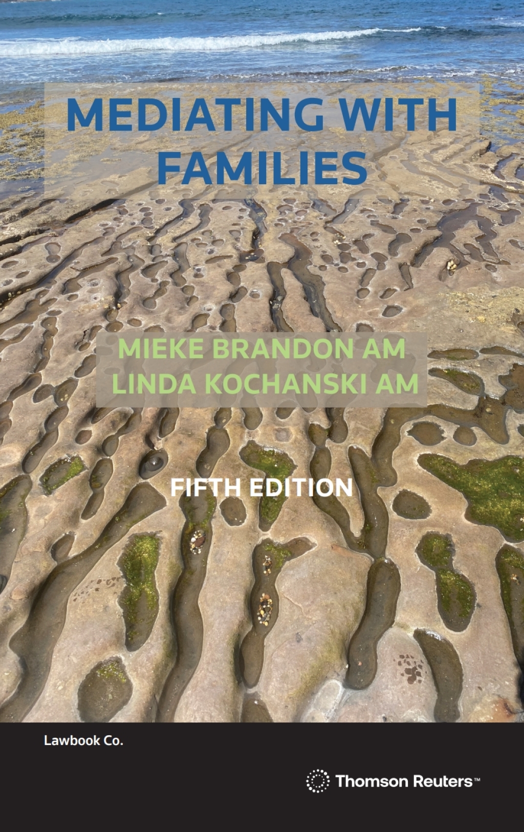 Mediating with Families 5th Edition â€“ PDF/EPUB Version Downloadable