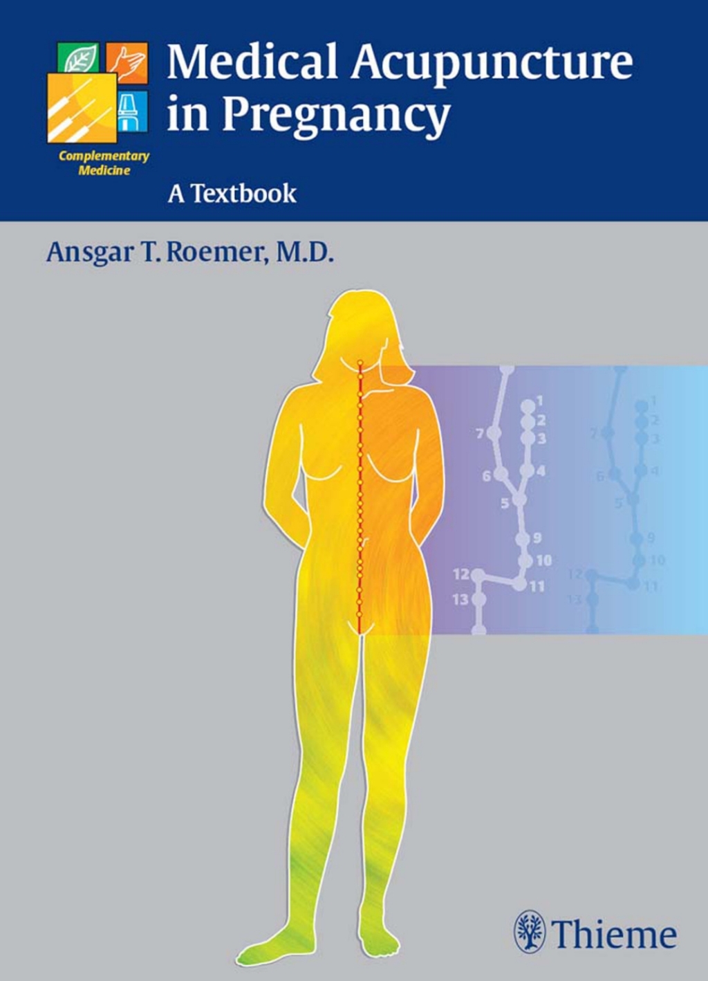 Medical Acupuncture in Pregnancy A Textbook 1st Edition â€“ PDF/EPUB Version Downloadable