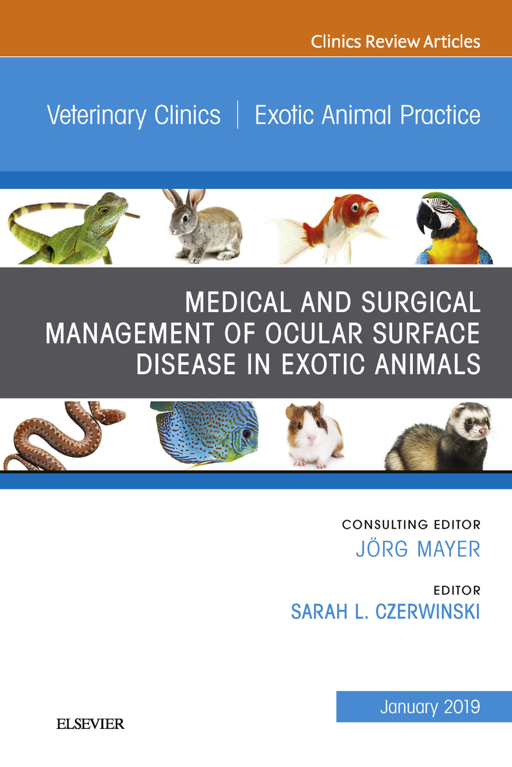 Medical and Surgical Management of Ocular Surface Disease in Exotic Animals, An Issue of Veterinary Clinics of North America: Exotic Animal Practice  â€“ PDF/EPUB Version Downloadable