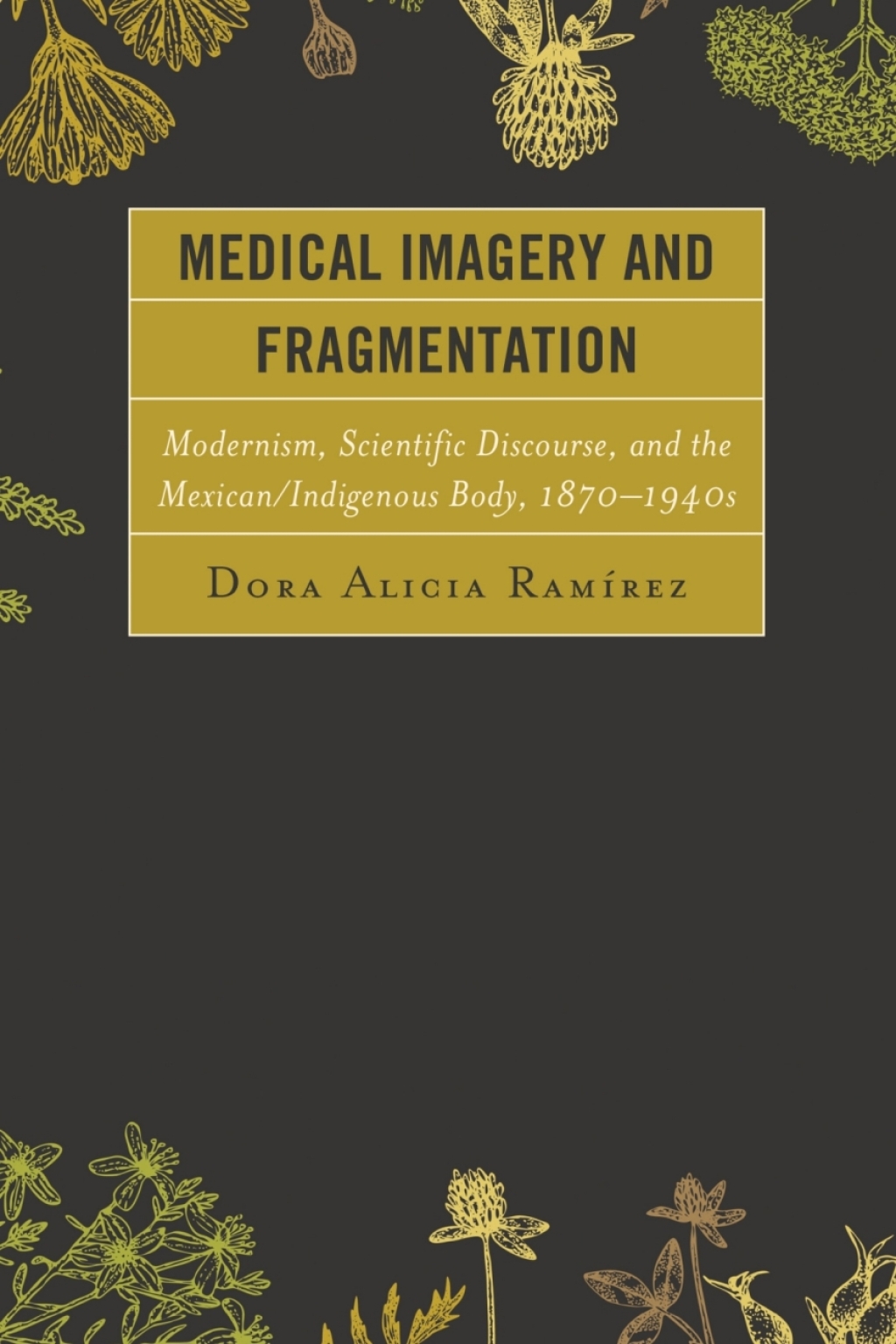 Medical Imagery and Fragmentation Modernism, Scientific Discourse, and the Mexican/Indigenous Body, 1870â€“1940s 1st Edition â€“ PDF/EPUB Version Downloadable