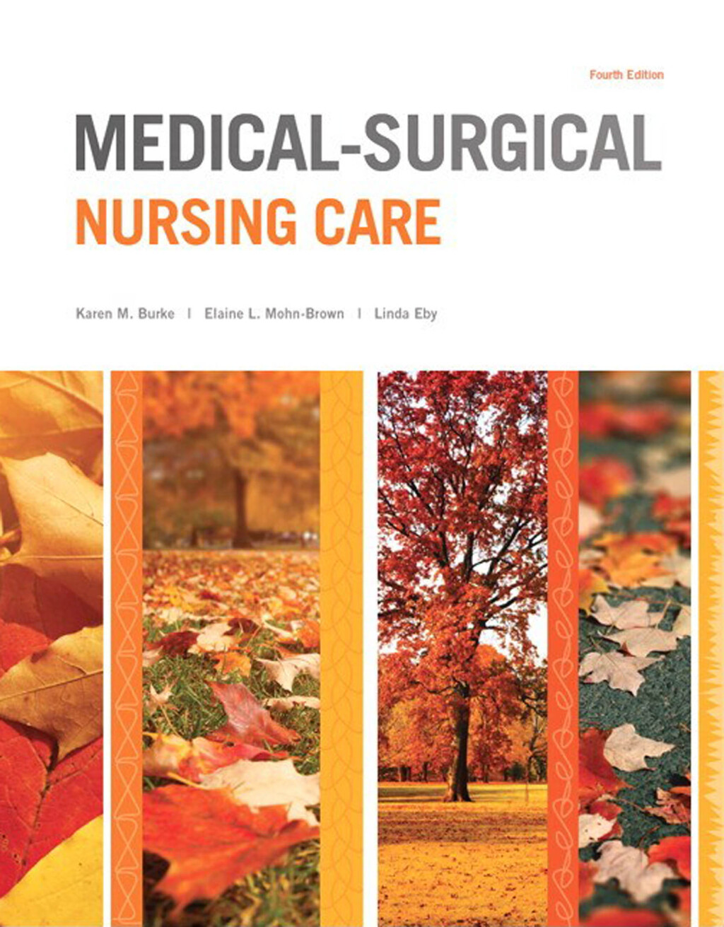 Medical-Surgical Nursing Care 4th Edition â€“ PDF/EPUB Version Downloadable