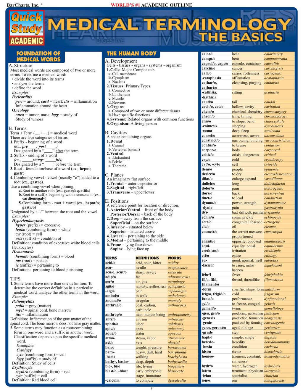 Medical Terminology:The Basics 1st Edition - (PDF/EPUB Version)