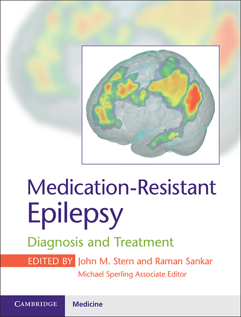 Medication-Resistant Epilepsy Diagnosis and Treatment  â€“ PDF/EPUB Version Downloadable