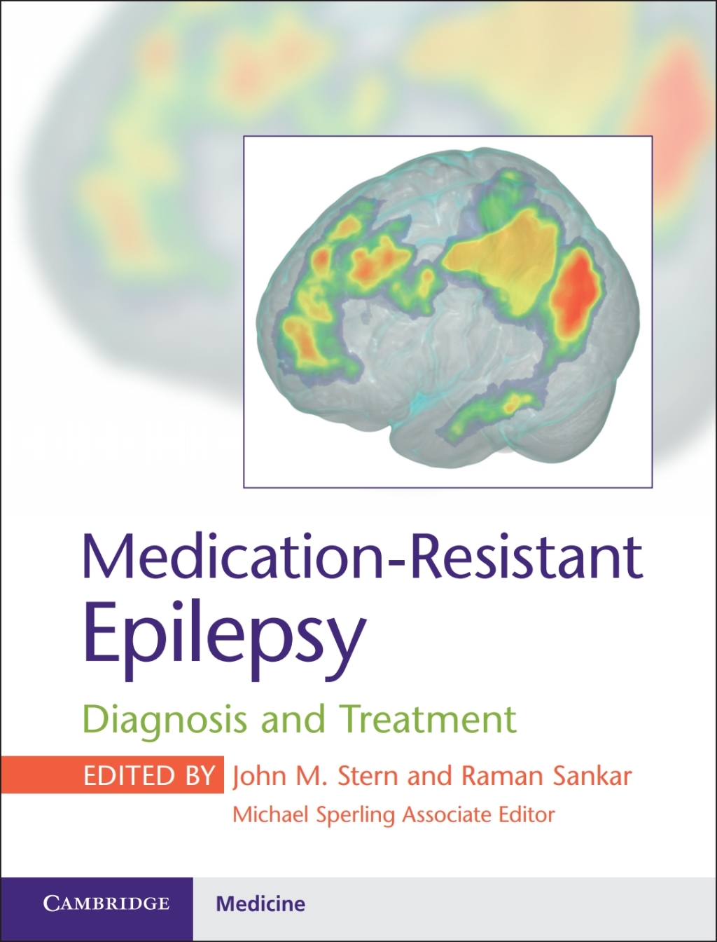 Medication-Resistant Epilepsy Diagnosis and Treatment 1st Edition â€“ PDF/EPUB Version Downloadable