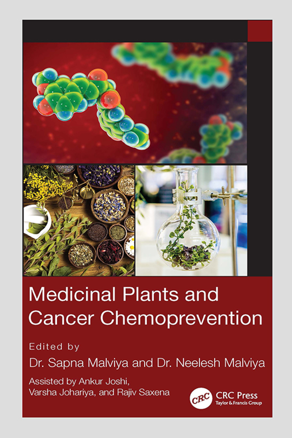 Medicinal Plants and Cancer Chemoprevention 1st Edition â€“ PDF/EPUB Version Downloadable