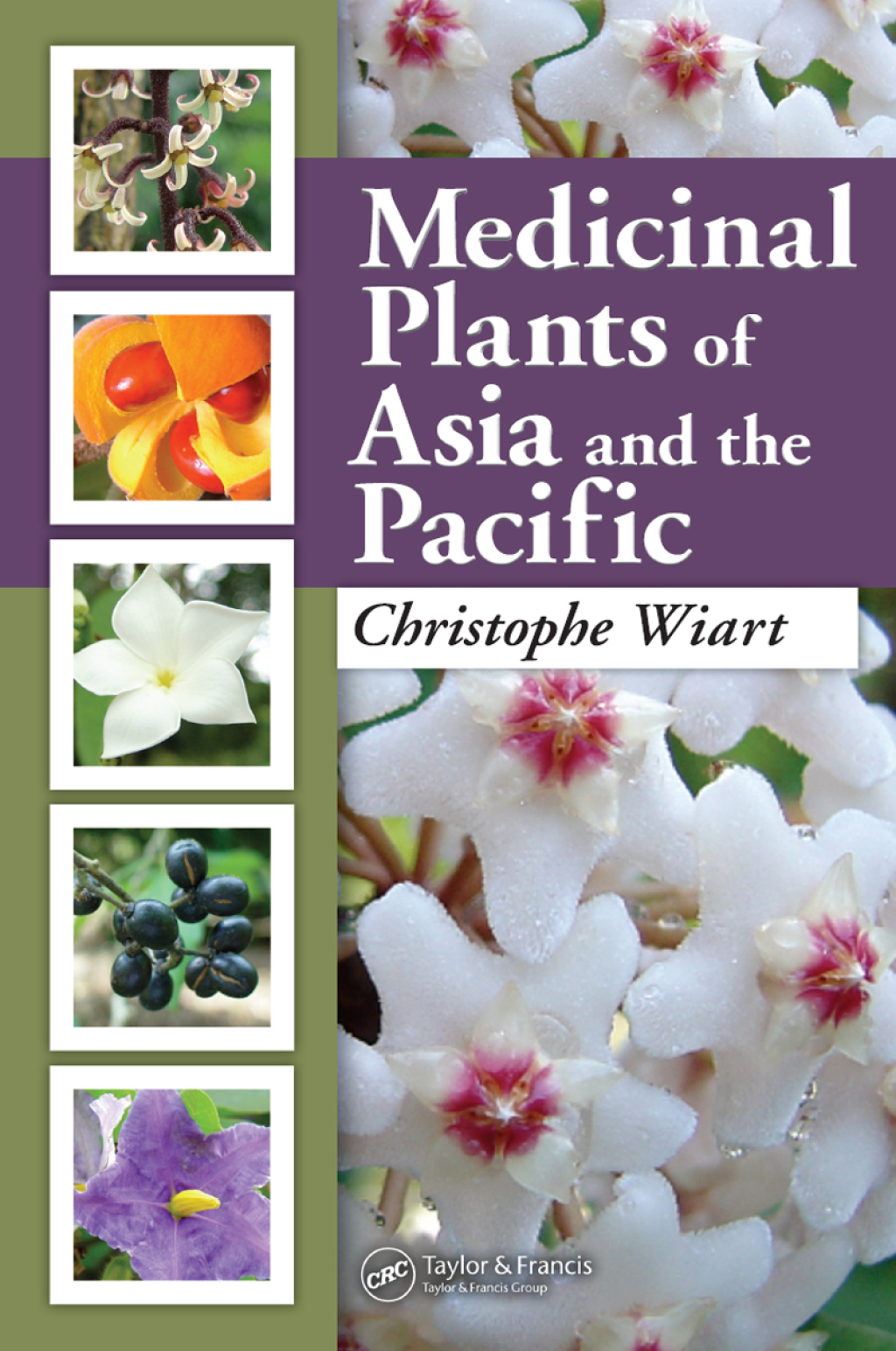 Medicinal Plants of Asia and the Pacific 1st Edition â€“ PDF/EPUB Version Downloadable
