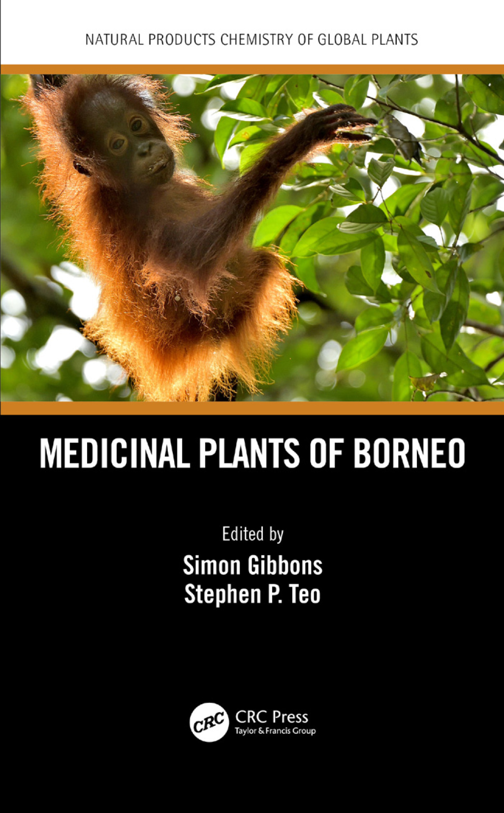 Medicinal Plants of Borneo 1st Edition â€“ PDF/EPUB Version Downloadable