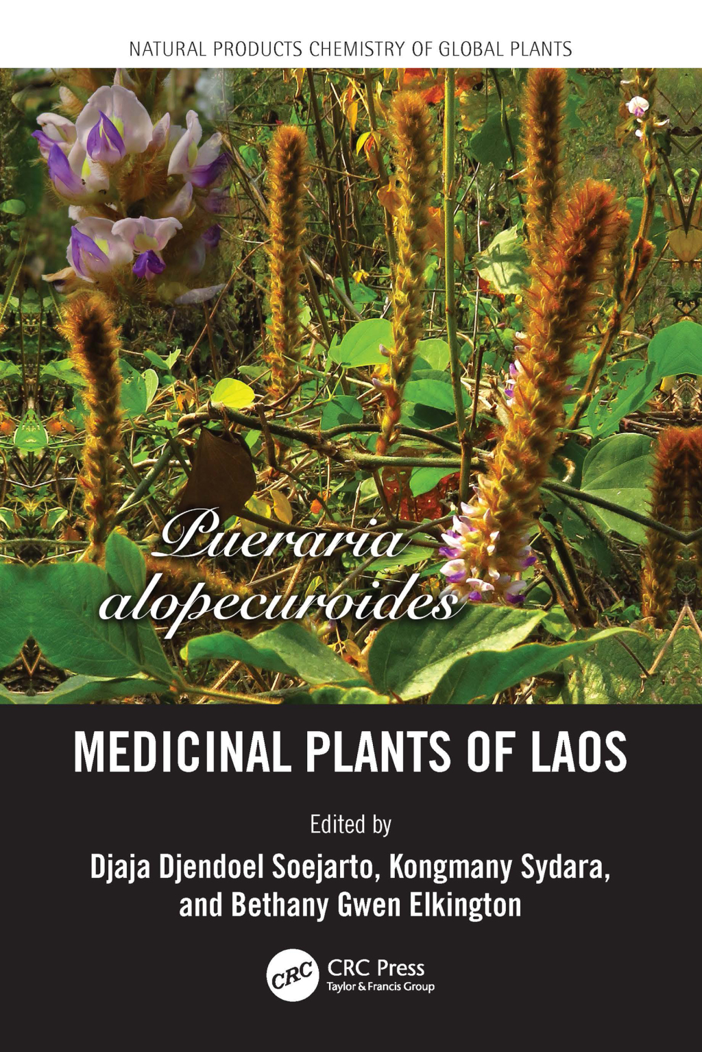 Medicinal Plants of Laos 1st Edition â€“ PDF/EPUB Version Downloadable