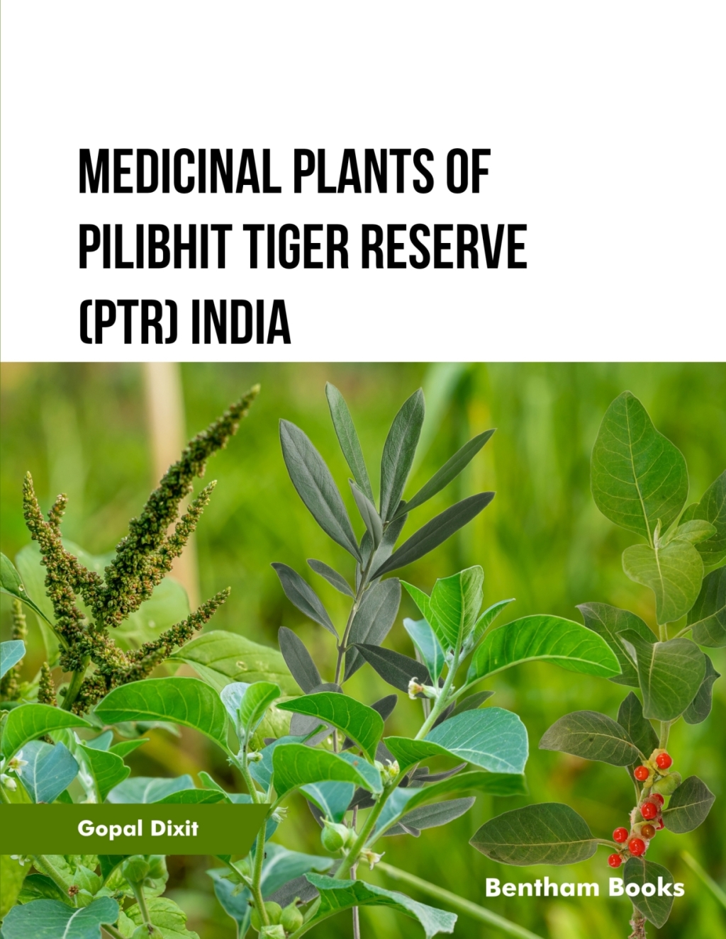 Medicinal Plants of Pilibhit Tiger Reserve (PTR) India 1st Edition â€“ PDF/EPUB Version Downloadable