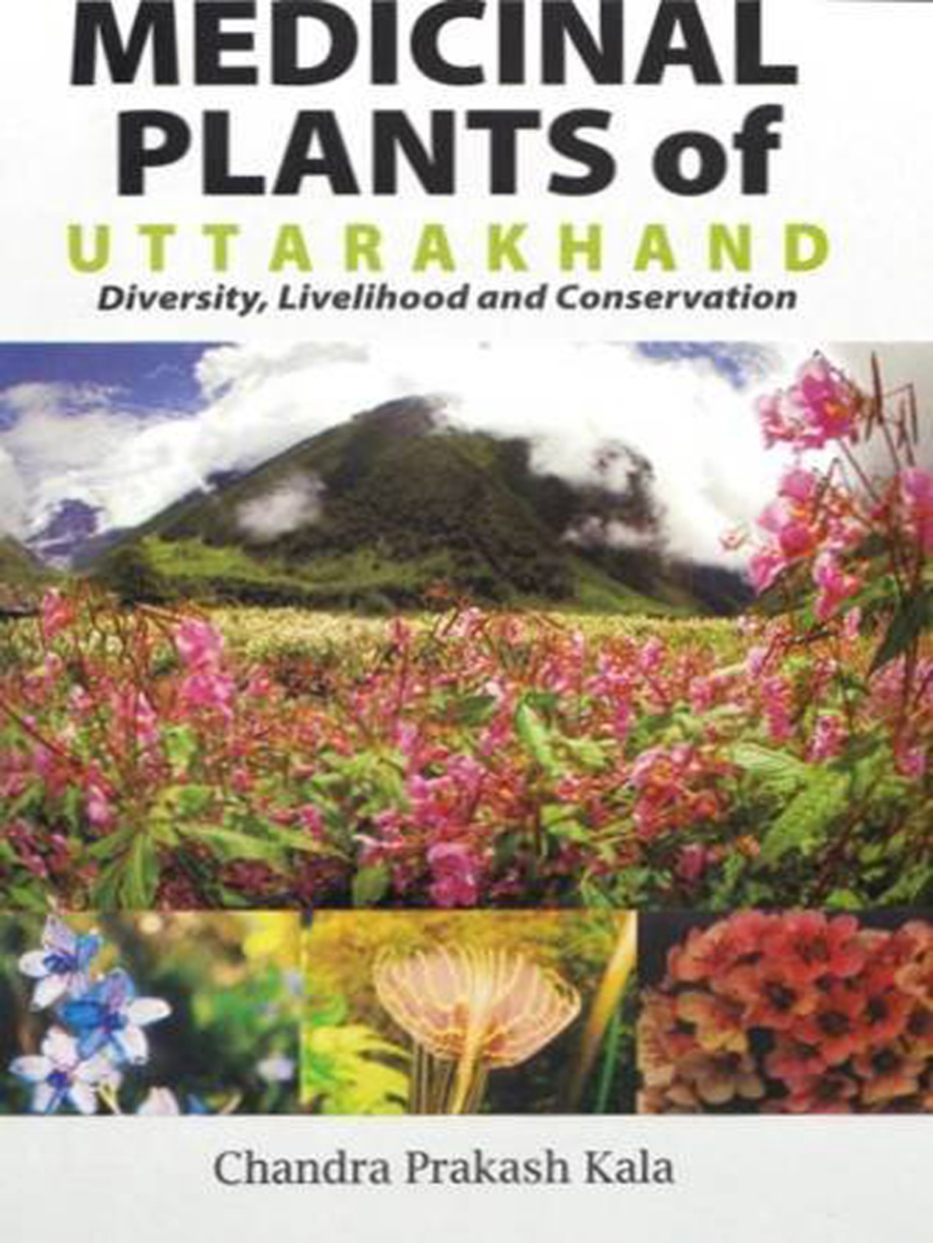 Medicinal Plants of Uttarankhand: Diversity Livelihood and Conservation 1st Edition â€“ PDF/EPUB Version Downloadable