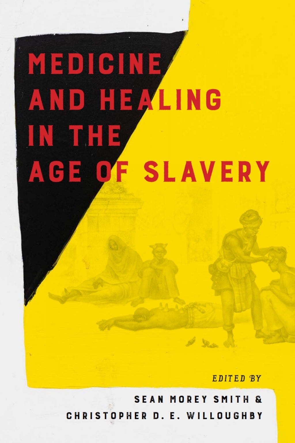 Medicine and Healing in the Age of Slavery - (PDF/EPUB Version)