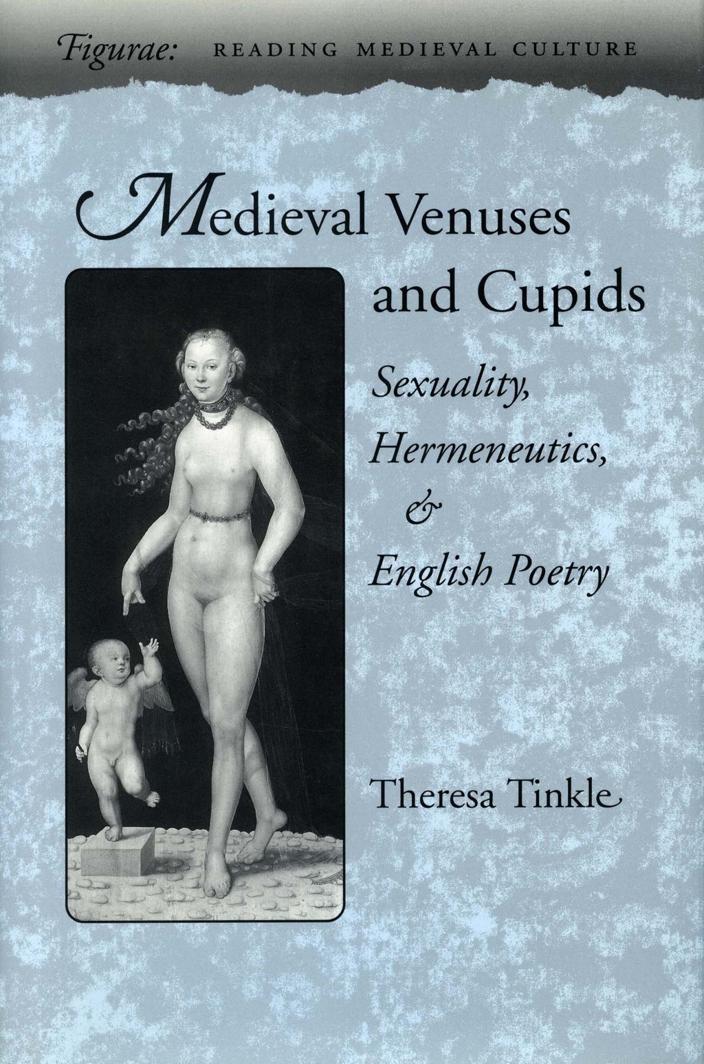 Medieval Venuses and Cupids Sexuality, Hermeneutics, and English Poetry 1st Edition â€“ PDF/EPUB Version Downloadable